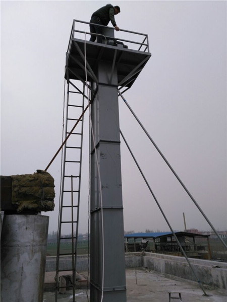 ne型板鏈斗式提升機(jī)